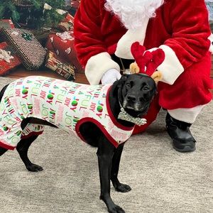 Dog holiday pajamas